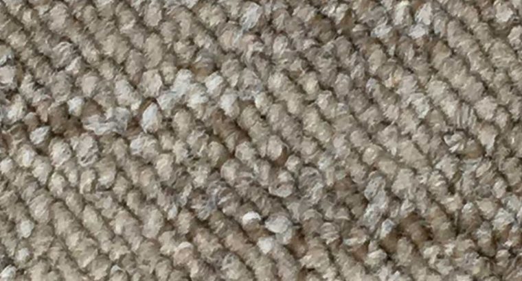 Buy Melbourne 08 Ivory Beige Loop Carpet Online