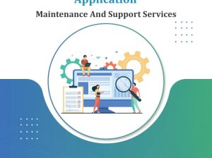 Web/Application Maintenance And Support Services