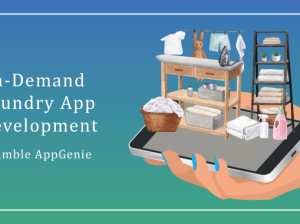 On-demand Laundry App Development- Nimble Appgenie