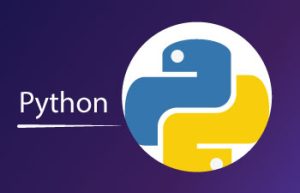 Python online training
