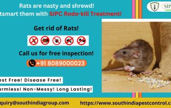 Rodent Control Services in Bangalore