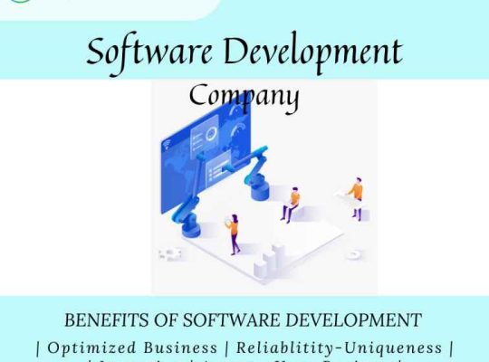 Custom Software Development Company | Lucid Outsourcing Solutions