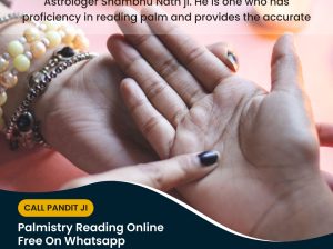 free palm reading – Online palmistry