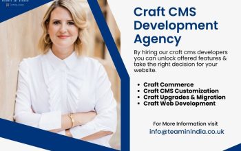 Craft CMS Development Services At London