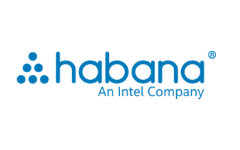 Saving Costs with Efficient Habana Labs Greco inference processors!
