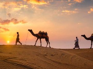 Rajasthan Tour Packages