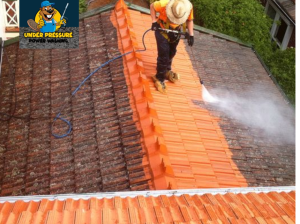 Book Professional Home Pressure Washing Services At Pocket Friendly Budget