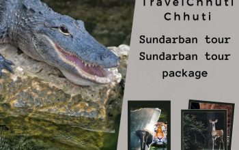 Enjoy the exciting Sundarban tour Package with TravelChhutiChhuti