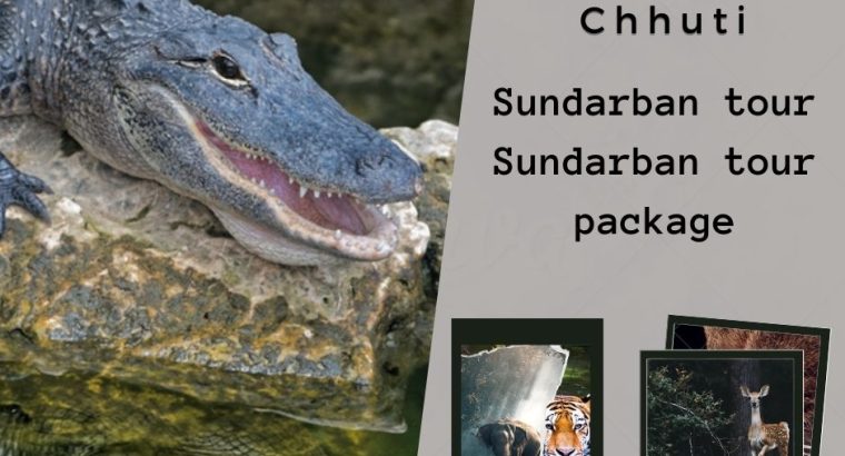 Enjoy the exciting Sundarban tour Package with TravelChhutiChhuti
