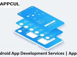 Best Mobile App Development Services in Delhi