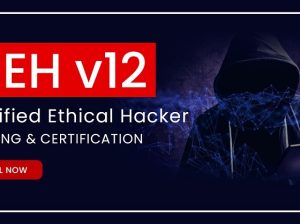 Certified Ethical Hacker Online Training