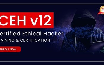 Certified Ethical Hacker Online Training