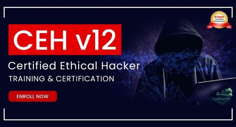 Certified Ethical Hacker Online Training