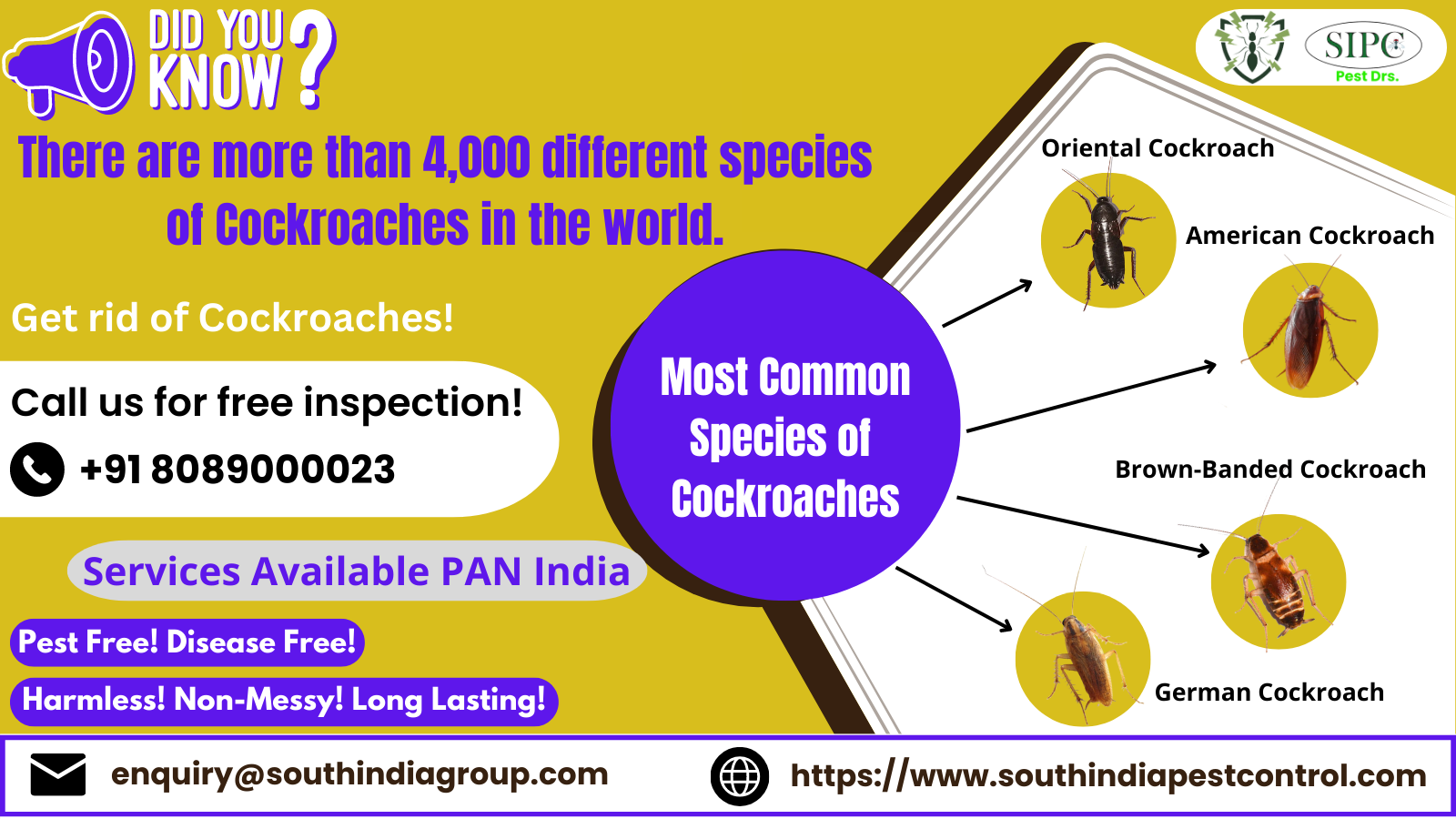 Best Cockroach Control Services in Goa
