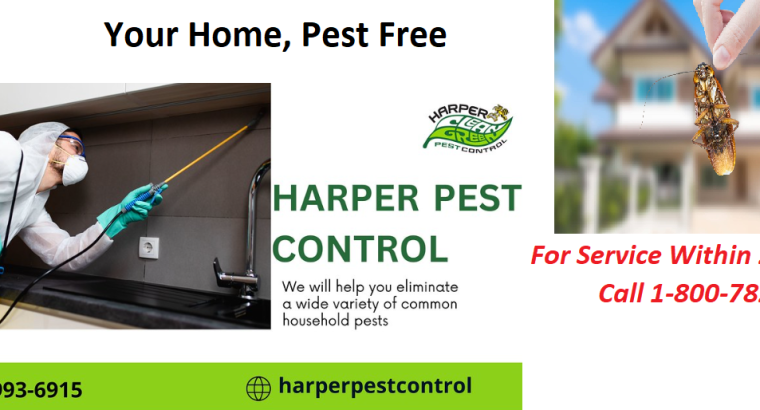 Best Pest Control Services in Oceanside CA