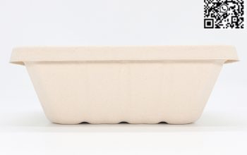 Wholesale China 500ML 700ML 850ML 1000ML Compostable Bagasse Bento Box with Lid