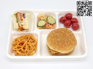 Lunch Tray disposable tray bagasse tray take away tray