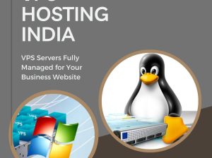 VPS Hosting Provider in India