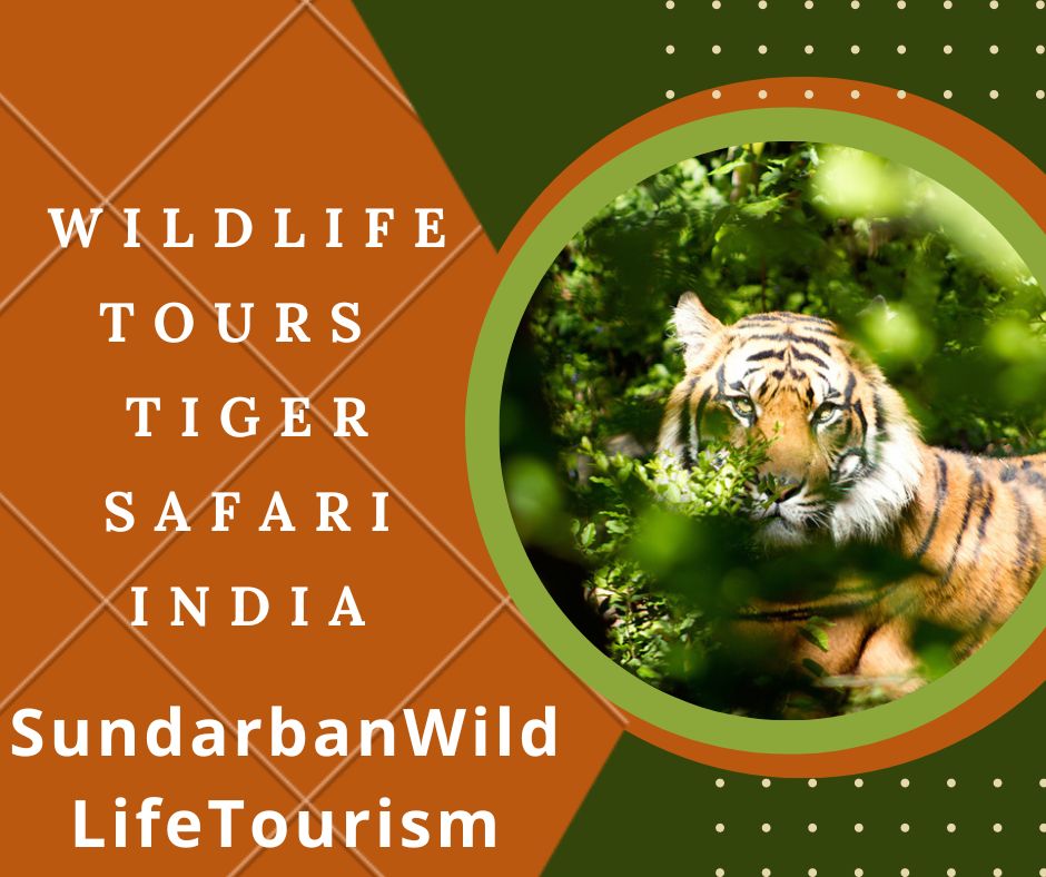Select your next thrilling wildlife tours destination with us