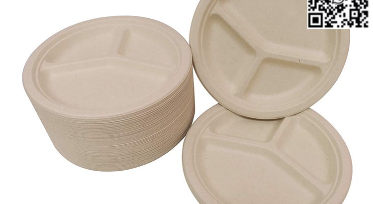 9 inches Plate disposable plate round plate bagasse plate