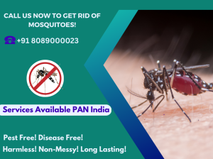 Best Mosquito Control Services in Kochi