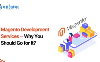 What are the uses of Magento? Baniwal Infotech