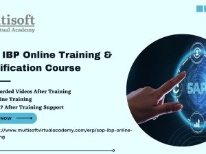 SAP IBP Training Certification Course Online