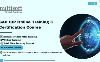 SAP IBP Training Certification Course Online