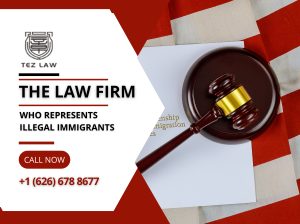 Immigration Lawyer | We Can Assist You With All Types Of Immigration Cases