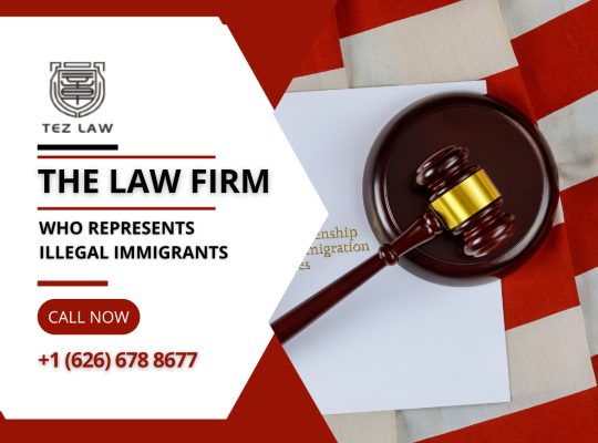 Immigration Lawyer | We Can Assist You With All Types Of Immigration Cases