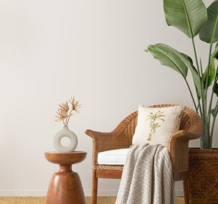 Wooden Chairs Online at Gulmohar Lane
