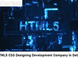 HTML5 CSS Designing Development Company in Delhi