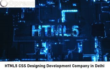 HTML5 CSS Designing Development Company in Delhi