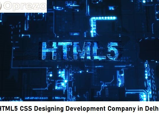 HTML5 CSS Designing Development Company in Delhi
