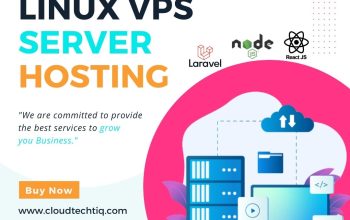 Managed Linux VPS Server For Website Hosting