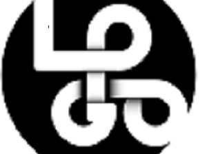 Custom Logo Design In USA