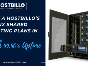 Buy a Hostbillo’s Linux Shared Hosting Plans in India With 99.90% Uptime