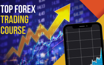 Top Forex Trading Courses by step traders