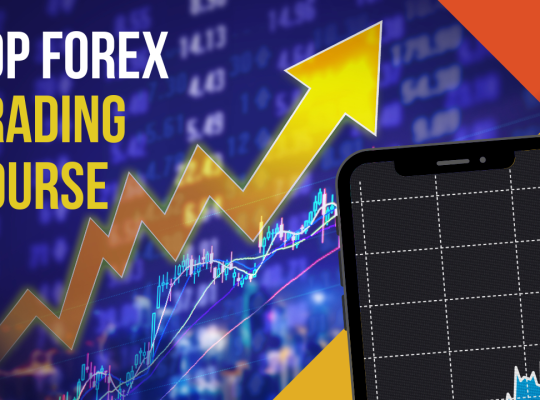 Top Forex Trading Courses by step traders