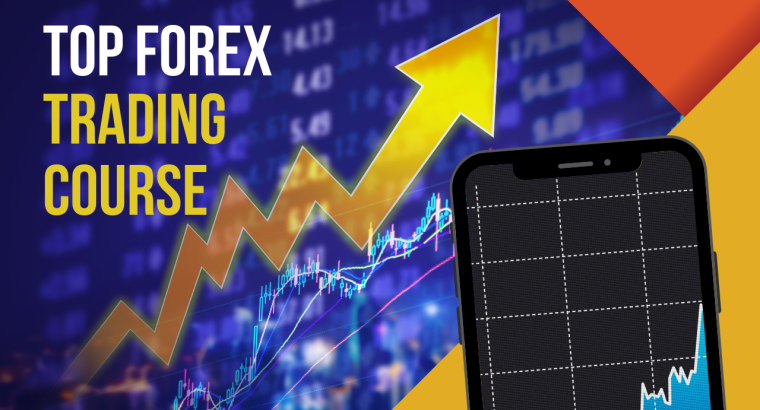 Top Forex Trading Courses by step traders