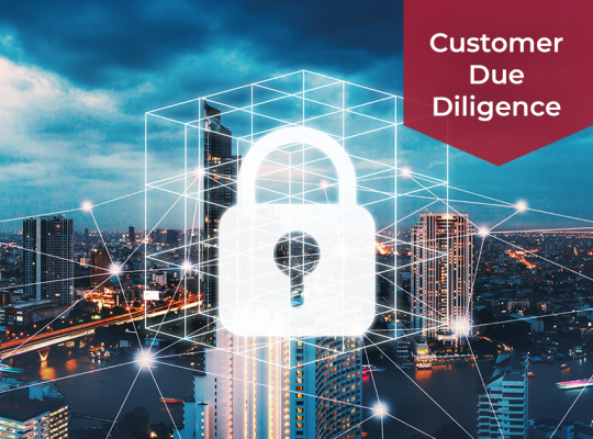 Customer Due Diligence Solutions