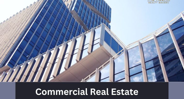 Expert Commercial Real Estate Services by The Heena Realty Makers