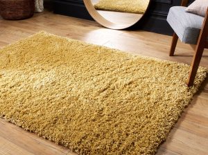 Shop the Best Selection of Modern Rugs!