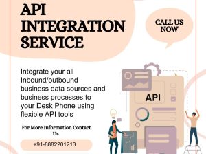 API Integration Solutions