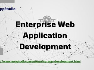 Enterprise Web Application Development | AppStudio