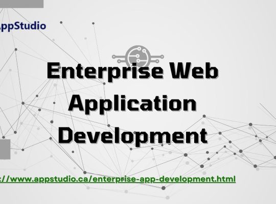 Enterprise Web Application Development | AppStudio