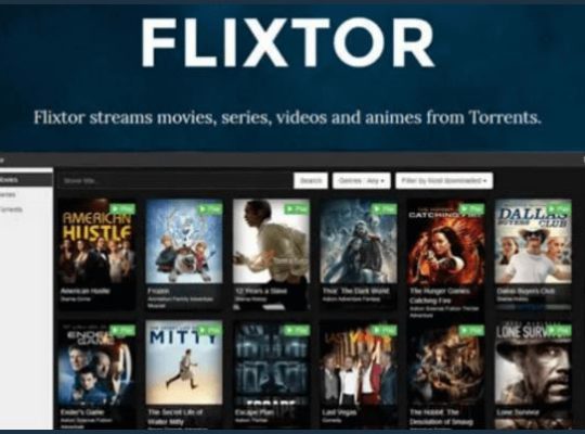 Your Guide to Terrarium TV and Flixtor Alternatives