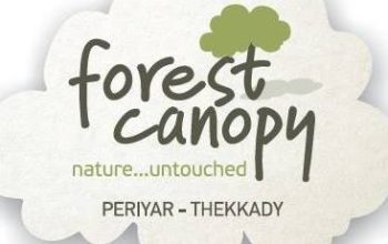 Family Resorts in Thekkady: Escape into Natural Beauty!