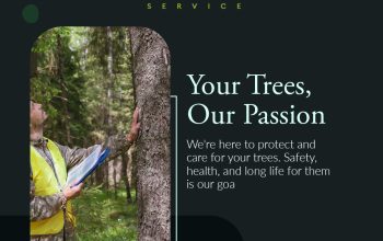 Professional Tree Care Services in Stockton, California | Same Day Service
