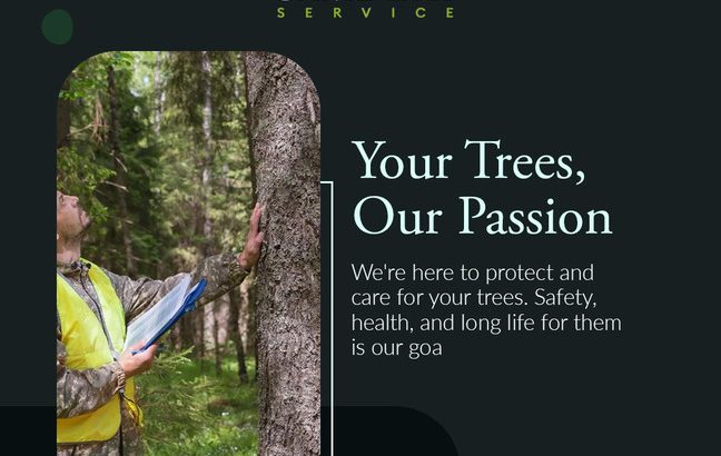 Affordable Tree Trimming Services in Stockton | Same Day Service